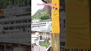 quotजयकारा शेरावालीquotदा।। shorts short feed viral ilovezindagi youtube [upl. by Akcirederf657]