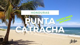 MUSICA PUNTA HONDURAS  🥳 MÚSICA PUNTA CATRACHA PARA BAILAR [upl. by Peti]