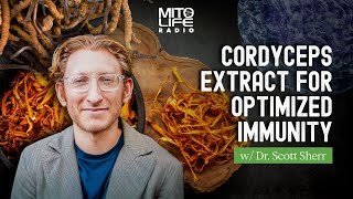 Cordyceps Extract for Optimized Immunity w Dr Scott Sherr  Mitolife Radio Ep 286 [upl. by Nicolas]