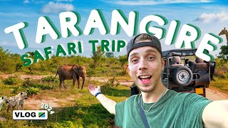 TARANGIRE SAFARI VLOG We even saw a LIONS ATTACK 😱 [upl. by Iver887]