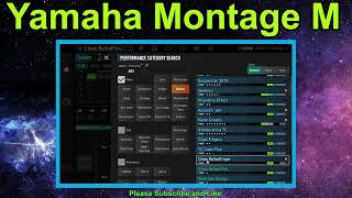 Yamaha Montage M  Guitar  ESP Expanded Softsynth Plugin  VST [upl. by Concepcion566]