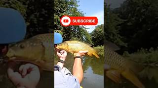 Getting Towed In My Kayak By A Carp While Fly Fishing CarpFlyFishing KayakFishing OhioFishing [upl. by Kissie]