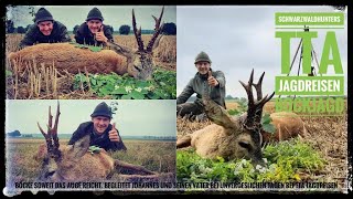 Bockjagd  Jagdreise  TTAJagdreisen  Schwarzwaldhunters  Bockjagd zur Blattjagd in Polen  Teil1 [upl. by Roberts]