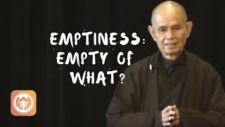 Emptiness Empty of What  Thich Nhat Hanh short teaching video [upl. by Grewitz]