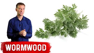 The Benefits of Wormwood [upl. by Sasha]