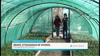 Fiscalización de fitosanidad de viveros [upl. by Selim467]