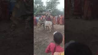 Kara khuta Dighi gaoe shorts dance nature mela indianfestival [upl. by Sylado]