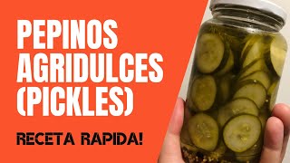 ¡Para tus Hamburguesas  Pepinos Agridulces Caseros  Fast Pickles [upl. by Anauqal840]