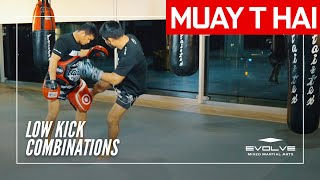 Muay Thai Training Series Muay Mat  Low Kick Combination [upl. by Artep]