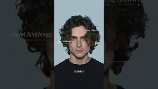 What Makes Timothee Chalamet So Attractive [upl. by Fogarty]