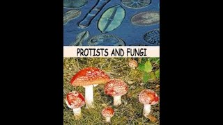 Grade 11  Chapter 20  Revision  Fungi and Protists  Biology [upl. by Brigette]