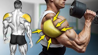 5 Best Rear Delt Exercise HUGE SHOULDERS [upl. by Norwood]