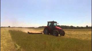 DM Series Massey Ferguson Mower at work [upl. by Camey]