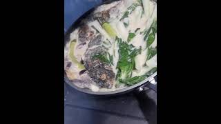 ginataang tilapia with pechay [upl. by Ahseinaj]