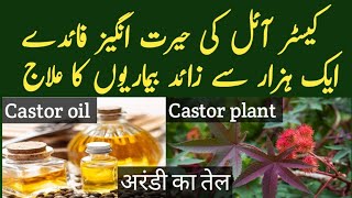 Castor Oil The Ancient Remedy That Cures Everything [upl. by Aserat406]