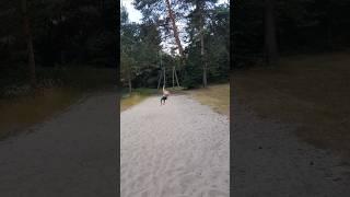 Spielplatz am Ovelgönner Strandbad fun [upl. by Ehudd523]