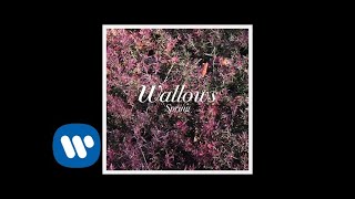 Wallows  Ground Official Audio [upl. by Kosel]