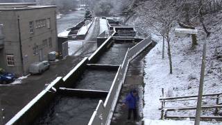 Fish Ladder Pitlochry [upl. by Llamaj]