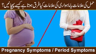 Pregnancy Symptoms or Period Symptoms  Early Pregnancy Symptoms in UrduHindi [upl. by Onil788]