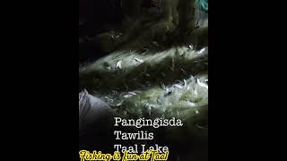 tawilis pangingisda taallake [upl. by Eckart]