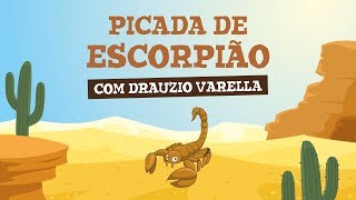 PICADA DE ESCORPIÃO com Drauzio Varella [upl. by Patrizio1]