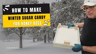 What To Feed Honey Bees In Winter [upl. by Eive726]