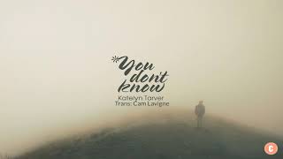 Vietsub  Lyrics You Dont Know  Katelyn Tarver [upl. by Ramraj]