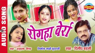 ROGHA BERRA  रोगहा बर्रा  Dilip Shadangi amp Anupama Mishra Audio Song  Audio Jukebox [upl. by Edd]