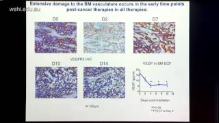 Purton 2015 Regulation of haematopoiesis by microenvironment cells [upl. by Aivatnohs]