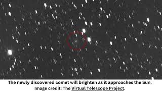 Newly Discovered Sungrazer Comet A11bP7I Could Soon Be Brighter Than Venus [upl. by Lustick]