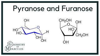 What is the Difference Between Pyranose and Furanose [upl. by Gingras725]