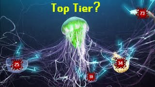 The Jellyfish Tier List [upl. by Latashia]