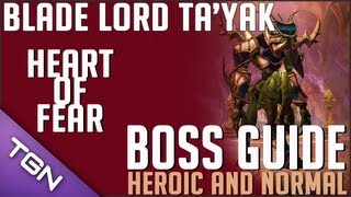 ★ WoW  Strategy Guide Blade Lord Tayak Normal and Heroic ft Caisha [upl. by Ailimac]