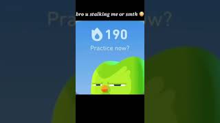 Duolingo widgets duolingo memes widgets foryou [upl. by Lindahl260]