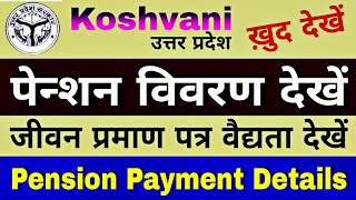 How to check Pension Payment Details  पेन्शन विवरण कैसे देखे  जीवन प्रमाण पत्र वैलिडिटी देखें [upl. by Aeneas368]