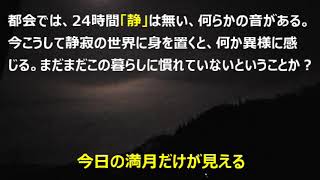 闇と満月の心情、静寂から得るものは…… [upl. by Fillbert]