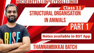 Structural organisation in Animals Class 11  Part 1  Thannambikkai Batch  NCERT line to line [upl. by Kleper]