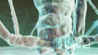 Bacteriophage Hybrid Medical Animation HD [upl. by Mihar]