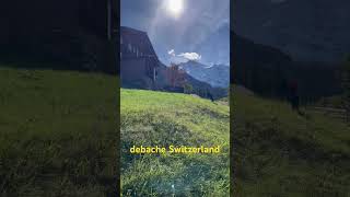 Sunny Alpine Meadows Above Wengen  Swiss Mountain Views [upl. by Lerrad]