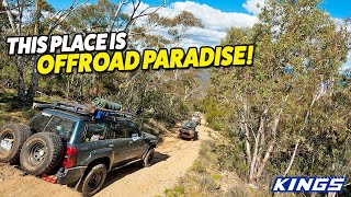 4WDING THE WILD NSW SNOWY MOUNTAINS Incredible campsites  breathtaking views 4WD Action  194 [upl. by Charlet889]