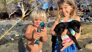 We Rescued Wild Orphan Baby Goats While on a Fishing Trip in Hawaii [upl. by Eelimaj]