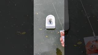 Remote Control Motor Boat 🛥️ diyprojects [upl. by Uhthna170]