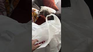 My SPOILED Yorkie Thinks Every Bags a GIFT [upl. by Zedecrem625]