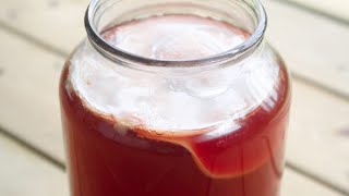 JE FAIS POUR LA PREMIERE FOIS DU KOMBUCHA HIBISCUS STYLE RISE ma recette [upl. by Garceau]