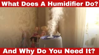 What Does a Humidifier Do Why Do You Need It [upl. by Onitselec]