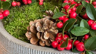 ❄️ Wintergreen  Gaultheria  Arrangement ❄️ [upl. by Berriman943]