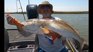 Pink Dolphins Sharks Reds Louisiana Slam in Calcasieu Lake [upl. by Nuahsed]