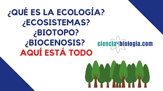 ¿Qué es la ECOLOGÍA 🌳Definición de ecología ecosistema biotopo etc [upl. by Halilahk298]