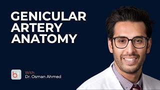 Overview of Genicular Artery Embolization Anatomy w Dr Osman Ahmed  BackTable Clips [upl. by Marmion]