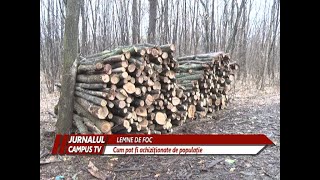 LEMNE DE FOC DIN PĂDUREA CRÂNG [upl. by Yoj]